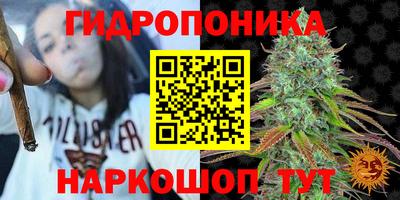spice Бузулук