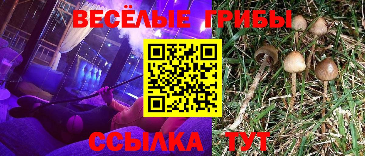 Галлюциногенные грибы MAGIC MUSHROOMS Миасс
