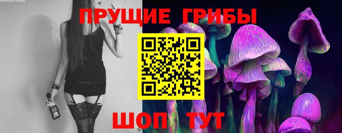 Миасс  Псилоцибиновые грибы ЛСД  хочу наркоту  Вход с VPN 